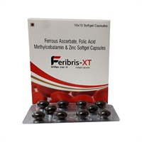 FERIBRIS-XT